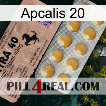 Apcalis 20 41